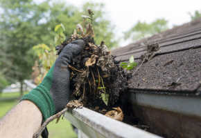 cleaning gutters