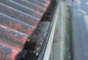 cleared gutter