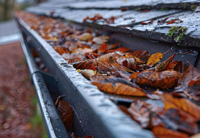 gutter blocked with leaves