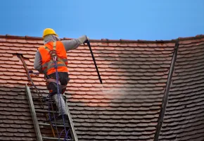 Roof Cleaning and Repair